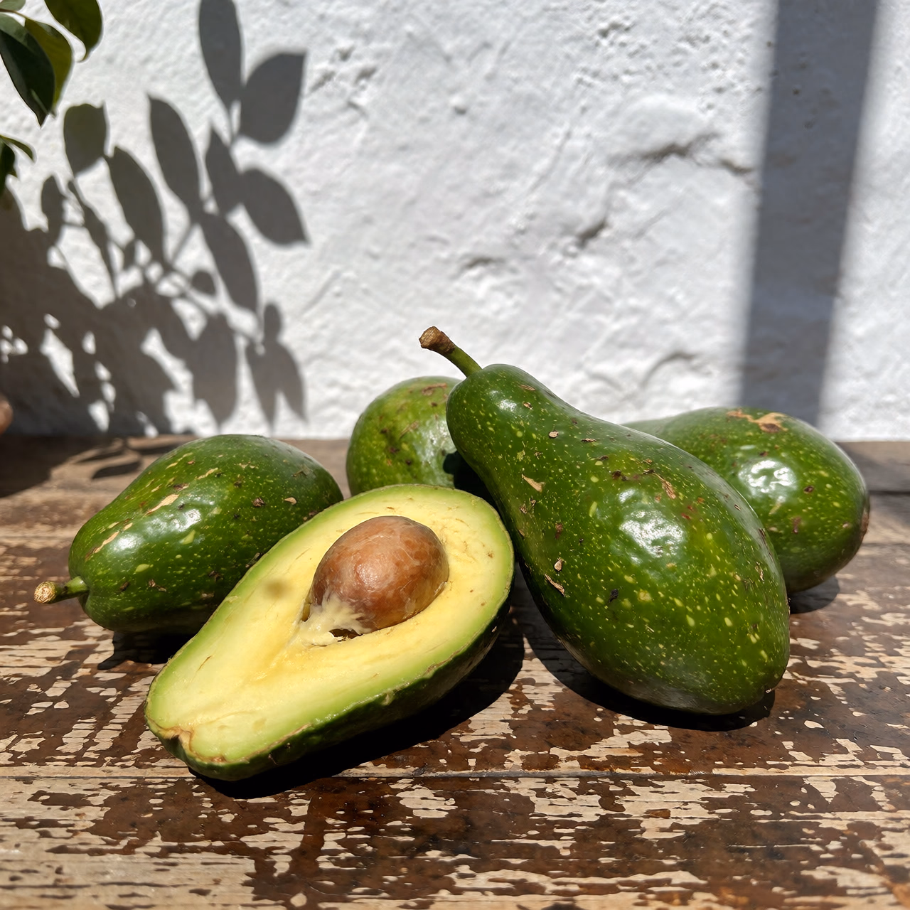 Aguacates Bacon ecológicos de piel verde lisa sobre una mesa de madera vieja, contra una pared encalada al sol del mediodía con la sombra de una planta, uno partido mostrando su pulpa verde pálida